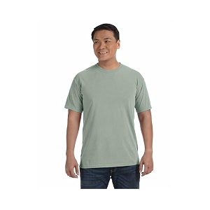 Comfort Colors Adult Short Sleeve T-Shirt 1-Pack