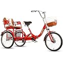Comfort Three-Wheeled Bicycles for Seniors 20 Inch 3 Wheel Bikes for Adult Bicycle Tricycle Pedal Cart Cargo Three Wheel for Women Men for Shopping Or Dogs Dusoof Bag
