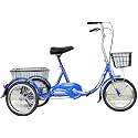 Comfort Three-Wheeled Bicycles for Seniors Adult Seniors Tricycles 16inch 3 Wheel Bikes Three-Wheeled Bicycles with Shopping Basket and Adjustable Seat for Women Men Bike