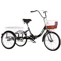 Comfort Three-Wheeled Bicycles for Seniors Tricycle for Adults Foldable Adult Tricycle 1 Speed Trike with 20in Wheels 3 Wheeled Bike with Front Rear Basket Adjustable Seat
