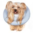 Comfortable Adjustable Soft Dog Cone Alternative After Surgery - Elizabethan Donut Collar for Cats, Medium Dogs and Small Dogs