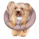Comfortable Adjustable Soft Dog Cone Alternative - Elizabethan Donut Collar for Small Dogs &amp; Cats Recovery - Different Sizes for Medium &amp; Small Dogs