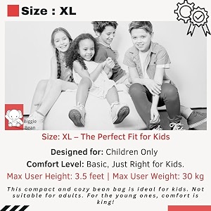 biggiebean bag with beans filled xl- official jack amp mayers bean bags - for kids - max user height  4 ft - weight  30 kgsmodel girl boss - pink sea-blue faux leather