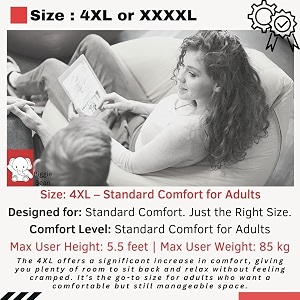 biggiebean bag with beans filled xxxxl bean bag prefilled with beans printed - official  printessence color  all i need is bohot paise - orange grey