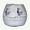 BiggieBean Bags Printed XXXL Bean Bag Without