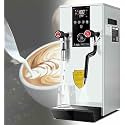 Commercial 2-Wand Boiling Water Machine, 12L Electric Steam Milk Frothing Machine, with LED Display, for Espresso Tea