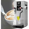 Commercial 2-Wand Boiling Water Machine, 12L Electric Steam Milk Frothing Machine, with LED Display, for Espresso Tea