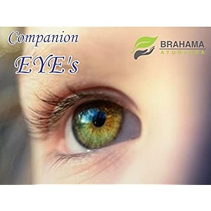 companion eyes