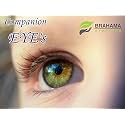 Companion Eyes