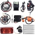 Complete Electrics Wiring Harness Stator Coil CDI Solenoid Relay Spark Plug Tail Light for 4 Wheelers Stroke ATV （150cc 200cc 250cc 300cc） Pit Dirt Bike Go Kart Zongshen Lifan By OTOHANS AUTOMOTIVE