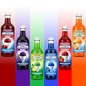 Conscious Seasonings Snow Syrup - Assorted 6 Flavores - 25.4 Fl Oz ea | cherry, grape, lime, blue raspberry, strawberry, orange