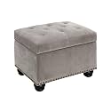 Convenience Concepts Designs4Comfort 5th Avenue Storage Ottoman 24" - Contemporary Foot Stool and Seat with Hinged Lid for Living Room, Dining Room, Office, Den, Light Taupe Velvet