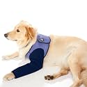 Coodeo Dog Recovery Suit, Cone Collar Alternative, Abrasion Resistant Dog Recovery Sleeve, Washable 2.5mm Thick and Waterproof, Pet Wounds Prevent Licking, Bite, Keep Dry（Purple，M