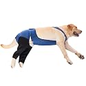 Coodeo Dog Recovery Suit Prevent Licking, Biting (L, Blue)