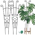 Coomin 32.6in Monstera Plant Support Trellis for Indoor Plants, 2P