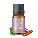 CORE &amp; PURE Pain Remedy Oil Helps in Healing and Curing Joint Pain, Lower Back &amp; Upper Back Pain, Feet Pain From The Root - 12ml