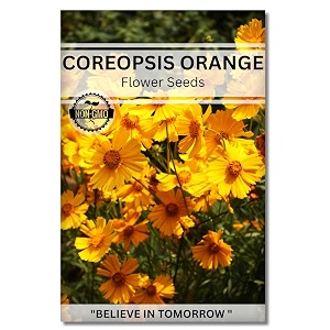 navika seeds  grow with us coreopsis flower seeds for home gardeningamp terrace gardening winter amp summer blooms in india-includes free e-book for kitchenbackyardgardening amp plantinghigh germination