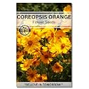 Navika Seeds ; Grow with Us Coreopsis Flower Seeds for Home Gardening&amp; Terrace Gardening Winter &amp; Summer Blooms in India-Includes Free E-Book for Kitchen,Backyard,Gardening &amp; Planting.High Germination
