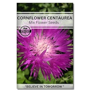 navika seeds  grow with us cornflower centaurea flower seeds for home gardeningperfect for terrace gardening winter amp summer blooms in india-includes free e-book for kitchenbackyardgardening