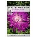 Navika Seeds ; Grow with Us Cornflower Centaurea Flower Seeds for Home Gardening.Perfect for Terrace Gardening Winter &amp; Summer Blooms in India-Includes Free E-Book for Kitchen,Backyard,Gardening
