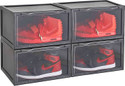 COROID Plastic Collapsible Shoe Stand