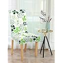 Cortina Dining Chair Slipcovers Protection Chair