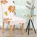 Cortina Dining Chair Slipcovers Protection Chair
