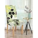 Cortina Dining Chair Slipcovers Protection Chair
