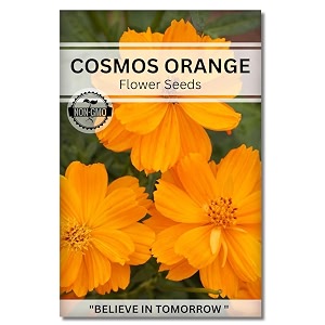 navika seeds  grow with us cosmos orange flower seedperfect for terrace gardening winter amp summer blooms in india-includes free e-book for kitchenbackyardgardening amp plantinghigh germination