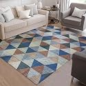 Cotton Bolls Textiles Rugs for Living Room