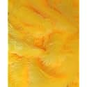 Solid Fabric Cloth For Baby Photoshoot,Soft Toys Making,Art And Craft,Dresses,Jackets,Decoration Etc-1 Meter Length And 60+ Inch Pana(5M,Yellow)