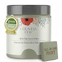 Country Chic All-in-One Chalk Paint for Furniture, Cabinets, Home Decor, Eco-Friendly, Matte Finish, Built-In Primer &amp; Top Coat for Wood, Metal - Sage Advice (Sage Green) - Pint 16 oz (475 ml)
