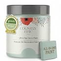 Country Chic All-in-One Chalk Paint for Furniture, Cabinets, Home Decor, Eco-Friendly, Matte Finish, Built-In Primer &amp; Top Coat for Wood, Metal - Fancy Frock (Light Blue) - 8 oz (237 ml)