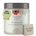 Country Chic All-in-One Chalk Paint for Furniture, Cabinets, Home Decor, Eco-Friendly, Matte Finish, Built-In Primer &amp; Top Coat for Wood, Metal - Ethereal Mist (Light Grey) - Pint 16 oz (475 ml)