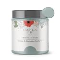 Country Chic All-in-One Chalk Paint for Furniture, Cabinets, Home Decor, Eco-Friendly, Matte Finish, Built-In Primer &amp; Top Coat for Wood, Metal - Elegance (Dusty Blue) - 4 oz (118 ml)