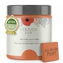 Country Chic All-in-One Chalk Paint for Furniture, Cabinets, Home Decor, Eco-Friendly, Matte Finish, Built-In Primer &amp; Top Coat for Wood, Metal - Persimmon (Orange) - 4 oz (118 ml)