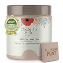Country Chic All-in-One Chalk Paint for Furniture, Cabinets, Home Decor, Eco-Friendly, Matte Finish, Built-In Primer &amp; Top Coat for Wood, Metal - Ooh La La (Light Pink) - Pint 16 oz (475 ml)