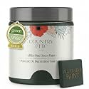 Country Chic All-in-One Chalk Paint for Furniture, Cabinets, Home Decor, Crafts, Eco-Friendly, Matte Finish, Built-In Primer &amp; Top Coat for Wood, Metal - Envious (green) Sample (4 oz)