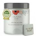 Country Chic All-in-One Chalk Paint for Furniture, Cabinets, Home Decor, Eco-Friendly, Matte Finish, Built-In Primer &amp; Top Coat for Wood, Metal - String of Pearls (Light Green) - 4 oz (118 ml)