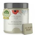 Country Chic All-in-One Chalk Paint for Furniture, Cabinets, Home Decor, Crafts, Eco-Friendly, Matte Finish, Built-In Primer &amp; Top Coat for Wood, Metal - Gentle Meadow (green) Pint (16 oz)