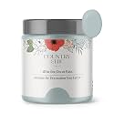 Country Chic All-in-One Chalk Paint for Furniture, Cabinets, Home Decor, Eco-Friendly, Matte Finish, Built-In Primer &amp; Top Coat for Wood, Metal - No Wax Needed (Dune Grass (Green), - Pint 16 oz (475 ml)
