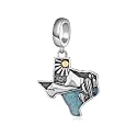 Country Flag Charms for Bracelets 925 Sterling Silver Dominican Republic/Puerto Rico/Peru/Mexican/Jamaica/Ireland/Texas Charms Souvenirs Gifts for Women National Flag Map Series Pendant Jewelry Travel Memorial Gift