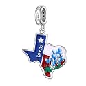 Country Flag Charms for Bracelets 925 Sterling Silver Dominican Republic/Puerto Rico/Peru/Mexican/Jamaica/Ireland/Texas Charms Souvenirs Gifts for Women National Flag Map Series Pendant Jewelry Travel Memorial Gift