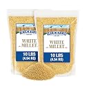 CountryMax 20LB White Proso Millet Bird Seed for Wild Birds &amp; Finches