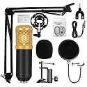 CP-Tech Professional BM-800 Condenser Microphone with 3.5mm AUX for Professional Studio Recording, Youtuber, Podcast, Voiceover, Etc (BM-800)