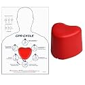 CPR Saver Training Kit CPR Training Model Hands Only CPR Compression First Aid Teaching Exercises Tool for Medical Students, Emergency Teachers, Medical Staff