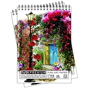 craft qila art spring 50 sheets 100 pages a4 sketchbook  top spiral-bound sketchpad for artists  professional grade drawing and sketchbook - pack of 2