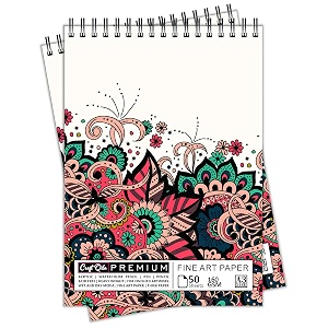 craft qila design 50 sheets 100 pages a3 sketchbook  top spiral-bound sketchpad for artists  professional grade drawing and sketchbook - pack of 2