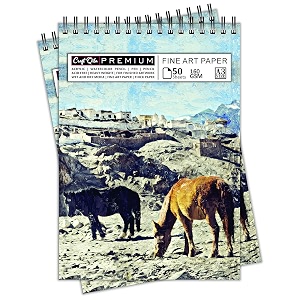 craft qila horses leh india 50 sheets 100 pages a3 sketchbook  top spiral-bound sketchpad for artists  professional grade drawing and sketchbook - pack of 2