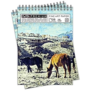 craft qila horses leh india 50 sheets 100 pages a5 sketchbook  top spiral-bound sketchpad for artists  professional grade drawing and sketchbook - pack of 2